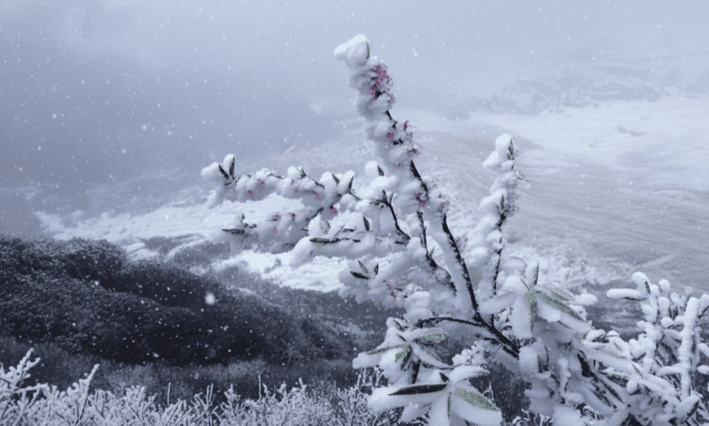 Thick layers of snow over 30cm deep in Buoc Mu